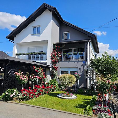 Apartman Vesna Б'єловар Екстер'єр фото