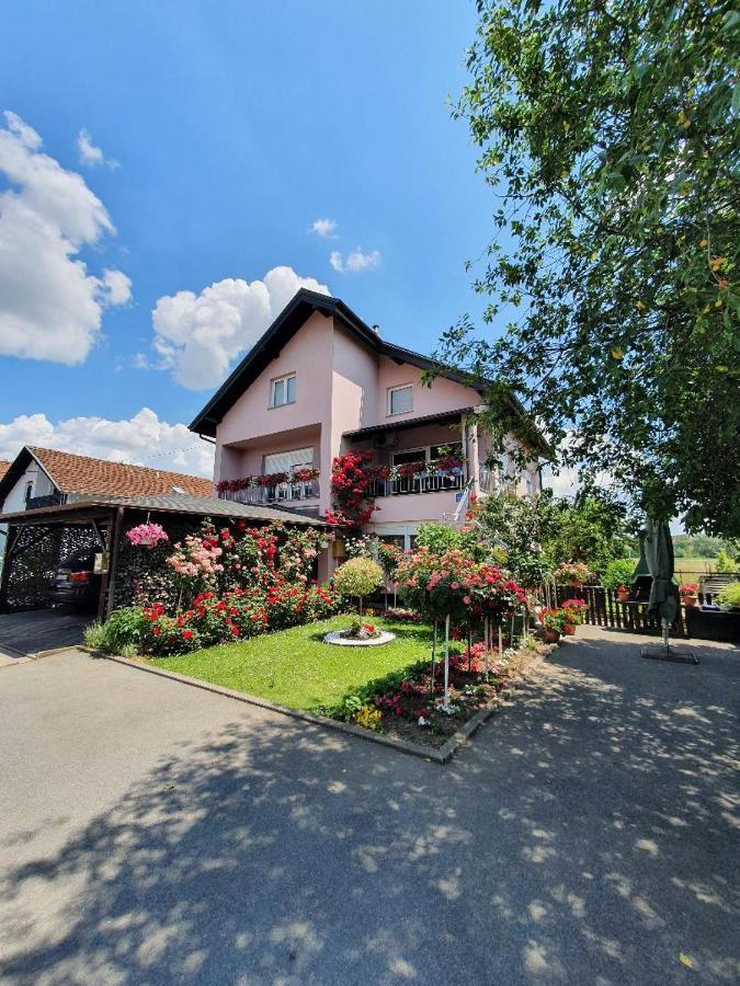 Apartman Vesna Б'єловар Екстер'єр фото