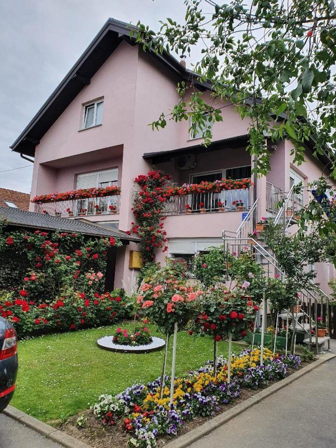 Apartman Vesna Б'єловар Екстер'єр фото